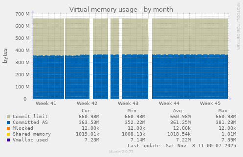 Virtual memory usage
