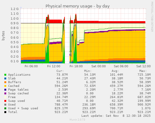 Physical memory usage