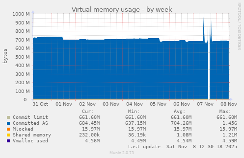 Virtual memory usage