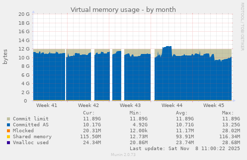 Virtual memory usage