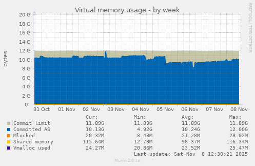 Virtual memory usage