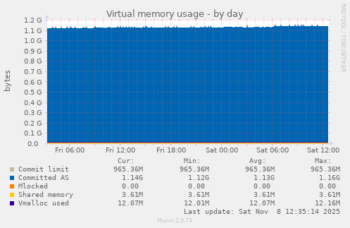 Virtual memory usage